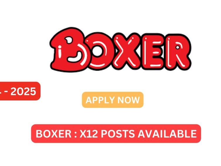 BOXER STORE