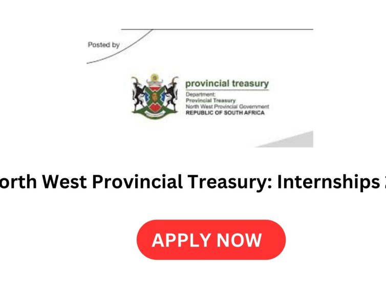 North West Provincial Treasury: Internships 2024