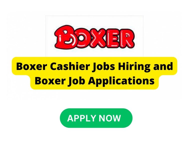 Boxer Hiring Now